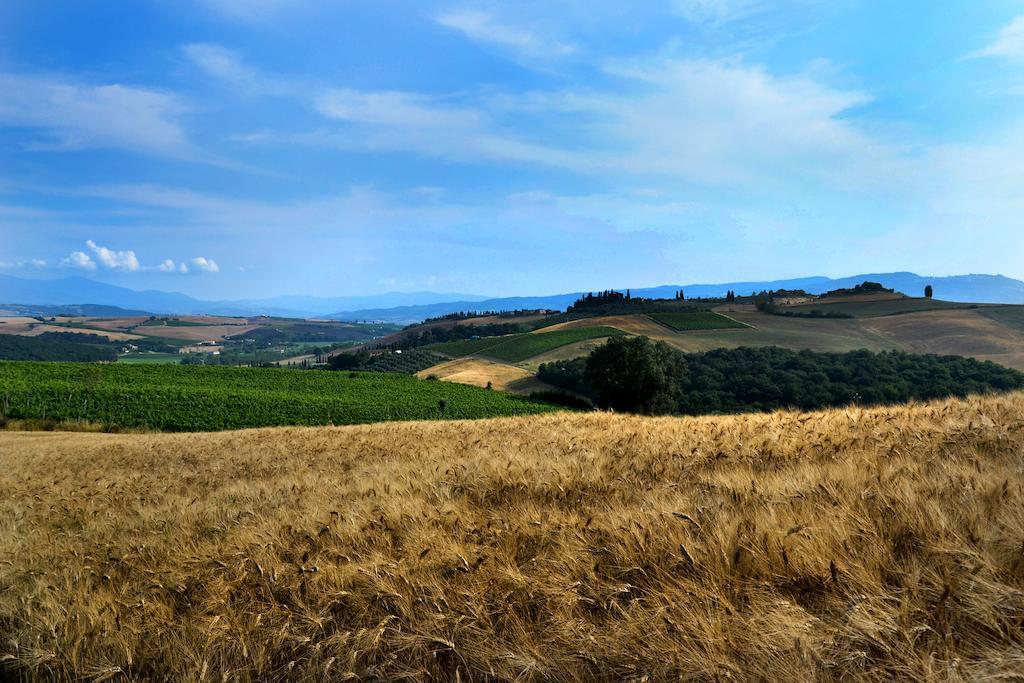 La Canonica San Giovanni dʼAsso Exteriör bild